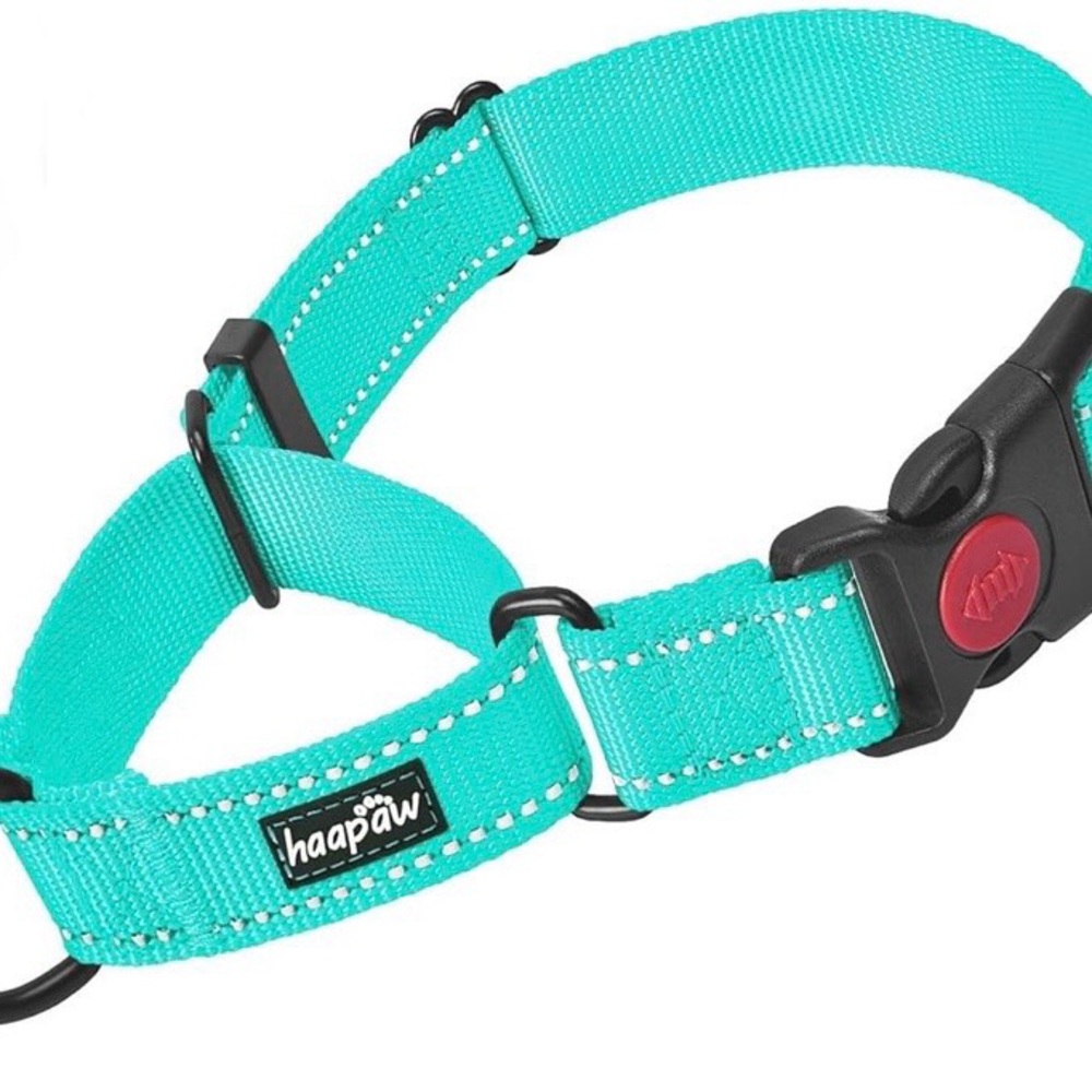 NWOT haapaw Martingale Dog Collar with Quick Release Buckle: Small to Medium